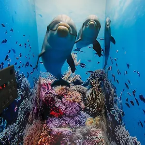 Tabist Sparkling Dolphins Hostal